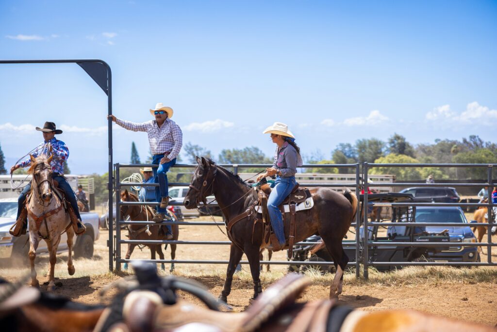 cowboys and cowgirls on horses at a rodeo event
